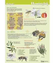 Help de honingbij, A4 kaart
