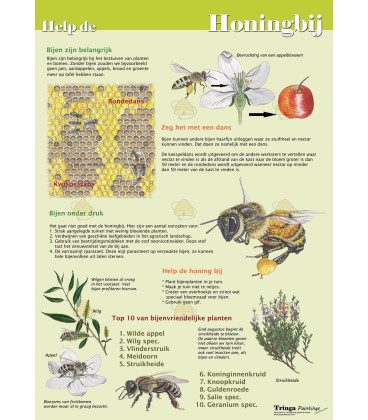 Help de honingbij, A4 kaart
