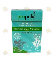 Kauwgom met propolis en pepermunt