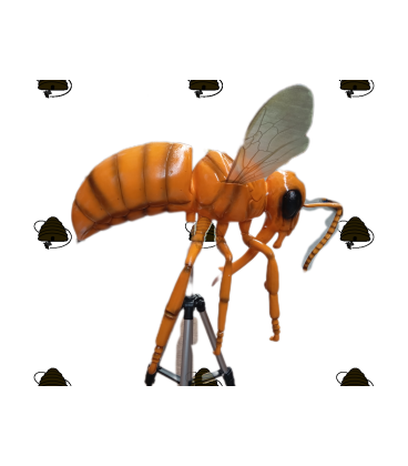 Tweedekans: model anatomie v/d honingbij (licht beschadigd)