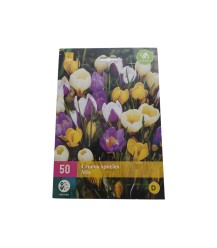 Crocus mix 50 stuks (bloembollen)