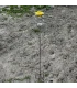 Houder voor wiekpot/lokpot