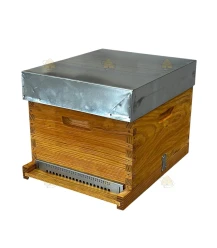 Dadant Blatt bijenkast (1BK) - geïmpregneerd