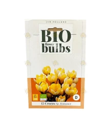 Crocus Sp. Romance, 15 stuks (bloembollen, bio)