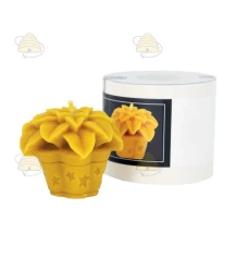 Ster van Bethlehem plant, gietvorm