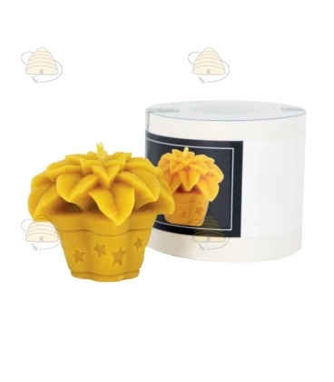 Ster van Bethlehem plant, gietvorm