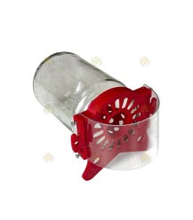 Hoornaarval 63 mm liggend & staand voor glazen pot 450 gr - BeeFun®