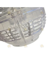 Extra vlinder beveiliging voor bol van Aziatische hoornaarval Deluxe