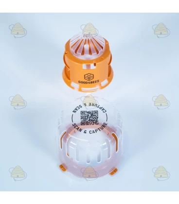 Selectieve Aziatische hoornaarval met diffusietechnologie