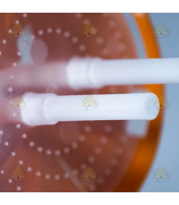 Selectieve Aziatische hoornaarval met diffusietechnologie