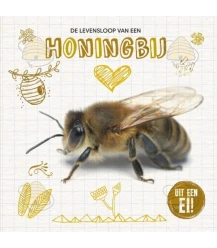 De levensloop van een honingbij
