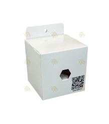 Ahembriox - Aziatische hoornaar - koninginnen val