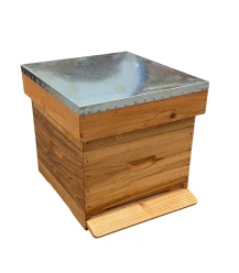 Spaarkast cryptomeria - geïmpregneerd