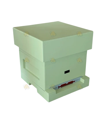 Tweedekans: Spaarkast pastel groen polystyreen (1bk, 1hk) - BeeFun®