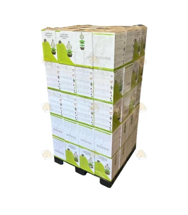 Pallet Aziatische hoornaarvallen Deluxe - 80 stuks
