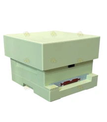 Spaarkast pastel groen polystyreen (1bk) - BeeFun®