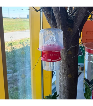 Selectieve Aziatische hoornaarval met diffusietechnologie - BeeFun® x Good4Bees