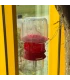 Good4Bees val uitbreiding lokstofcontainer