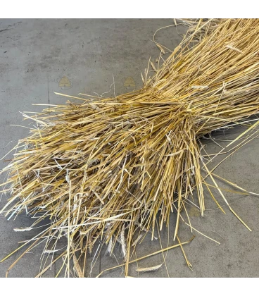 Roggestro bundel lang - 3 kg [AFHALEN IN THOLEN]