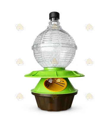 Aziatische hoornaarval Deluxe