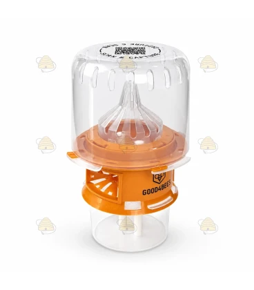 Selectieve Aziatische hoornaarval met diffusietechnologie - Good4Bees