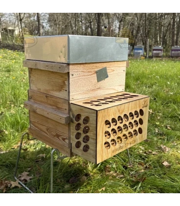 Aziatische hoornaar bescherming ARTHAK®