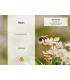 Digitale cadeaukaart voor imkers – Direct per e-mail