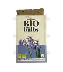 Hyacint Spaans blauw 7 stuks (bloembollen, bio)