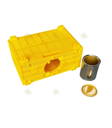 Zwerm vervoerbox